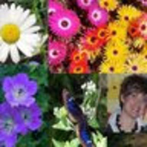 Meet your Posher, Lynn